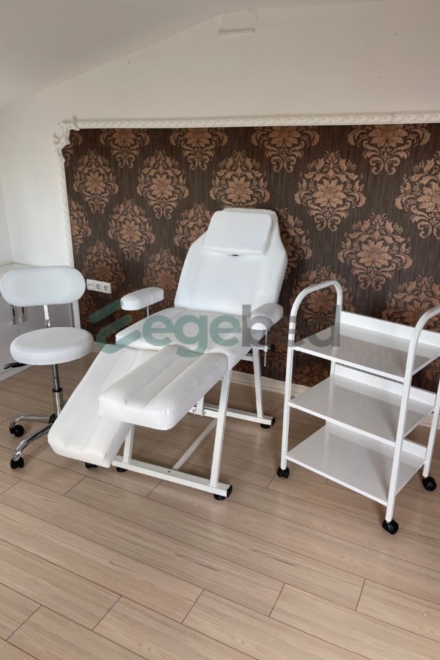 3'lü Cilt Bakım Sedyesi - Tattoo Koltuğu ,Uzman Taburesi ve Etejer