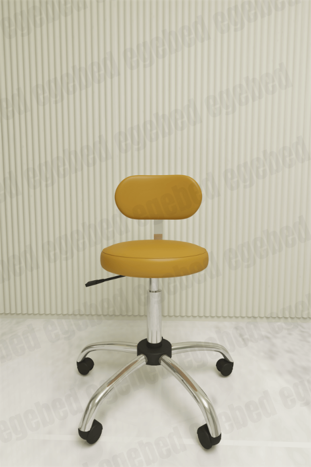 Uzman Taburesi – Krom Ayaklı (Sırt Destekli)