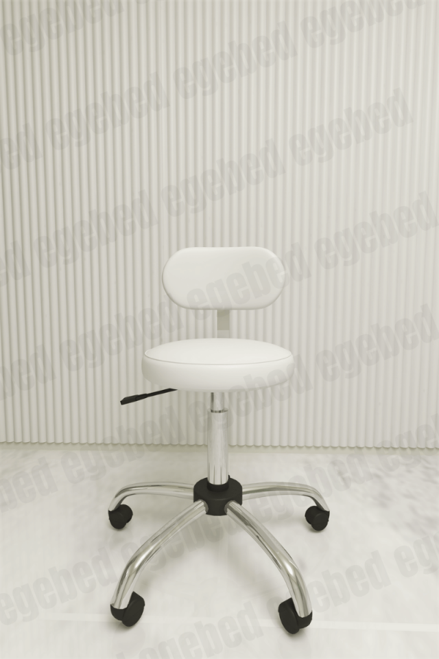 Uzman Taburesi – Krom Ayaklı (Sırt Destekli)