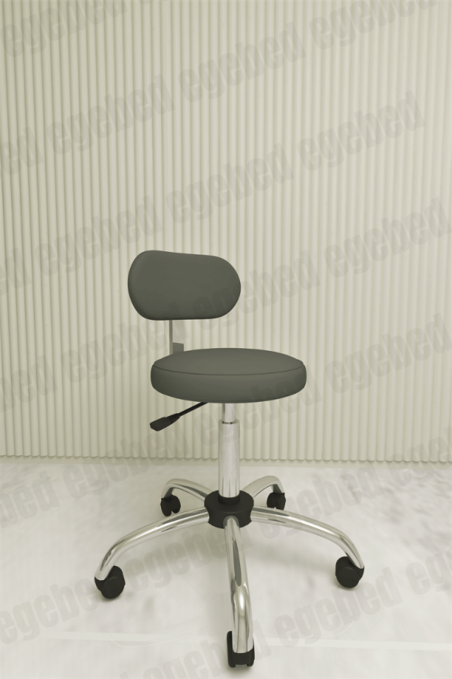 Uzman Taburesi – Krom Ayaklı (Sırt Destekli)