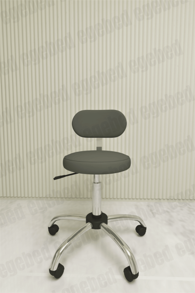 Uzman Taburesi – Krom Ayaklı (Sırt Destekli)