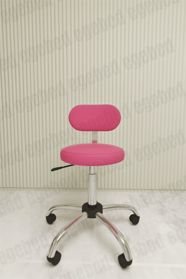 Uzman Taburesi – Krom Ayaklı (Sırt Destekli)