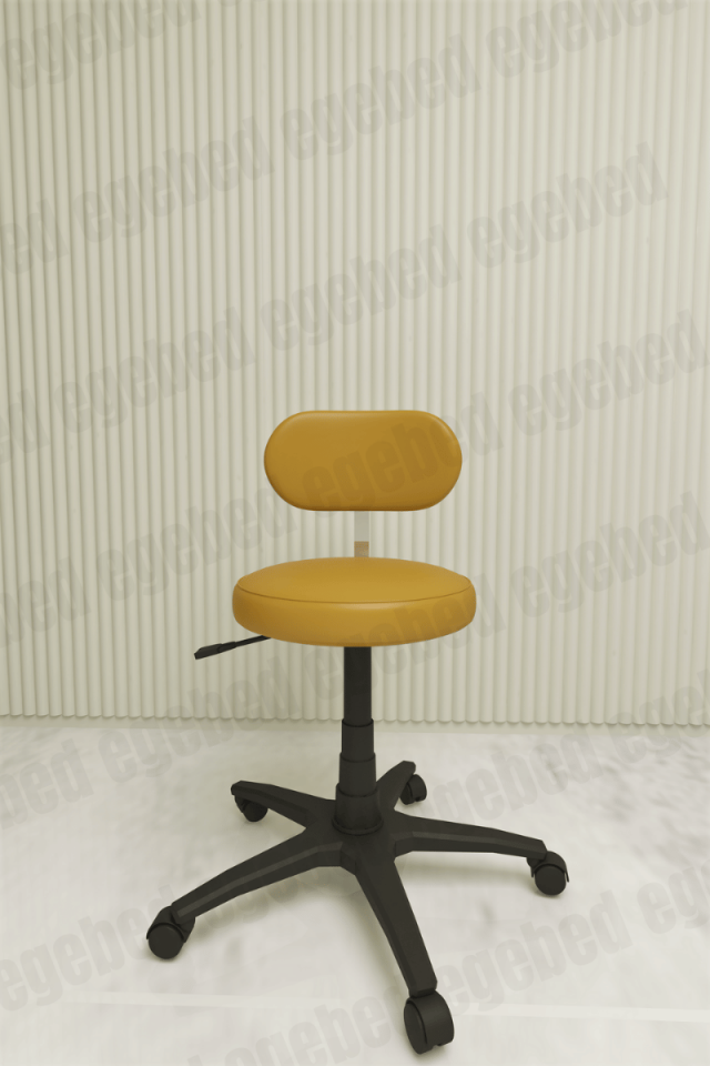 Uzman Taburesi (Sırt Destekli)