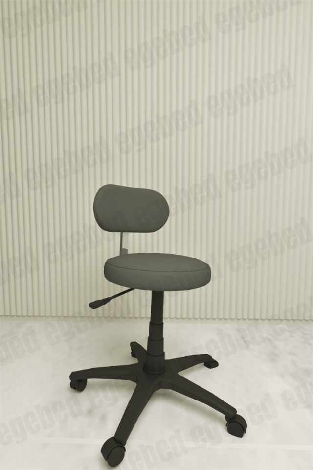 Uzman Taburesi (Sırt Destekli)